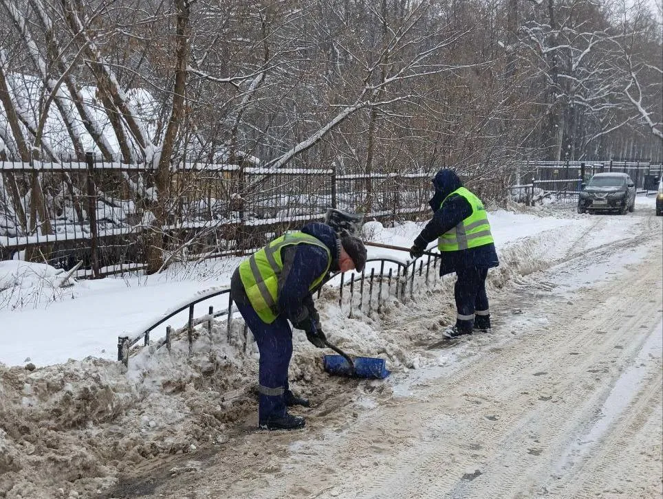 Фото: t.me/vos_glava