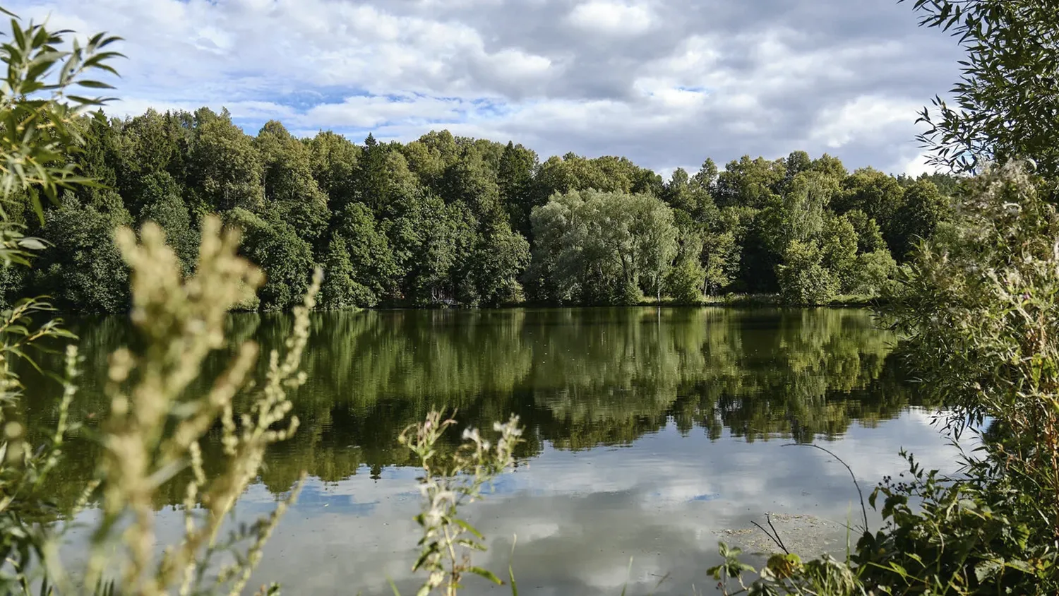 Фото: усадьба «Сенницы»