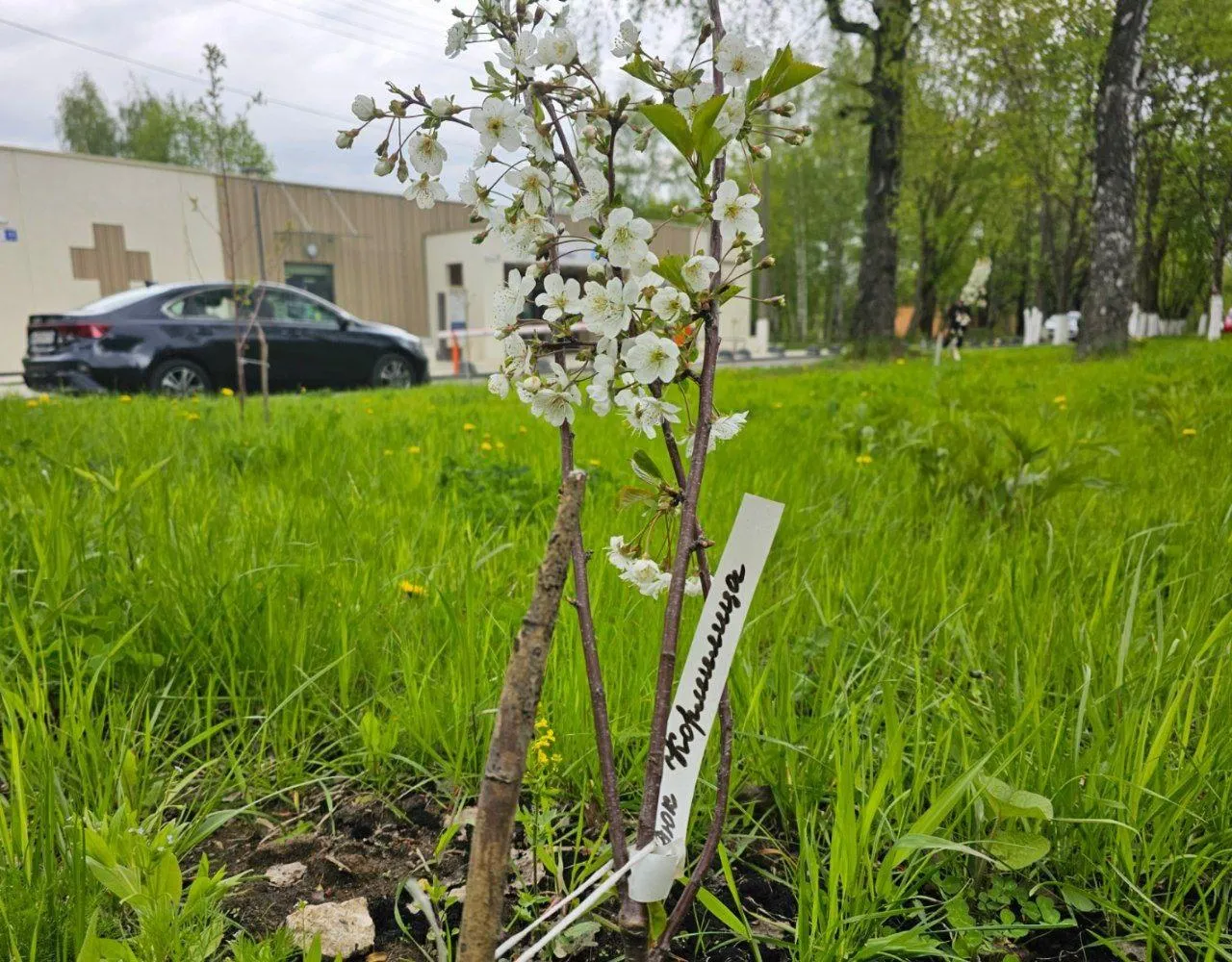 Фото: ГБУЗ МО «Видновский перинатальный центр»