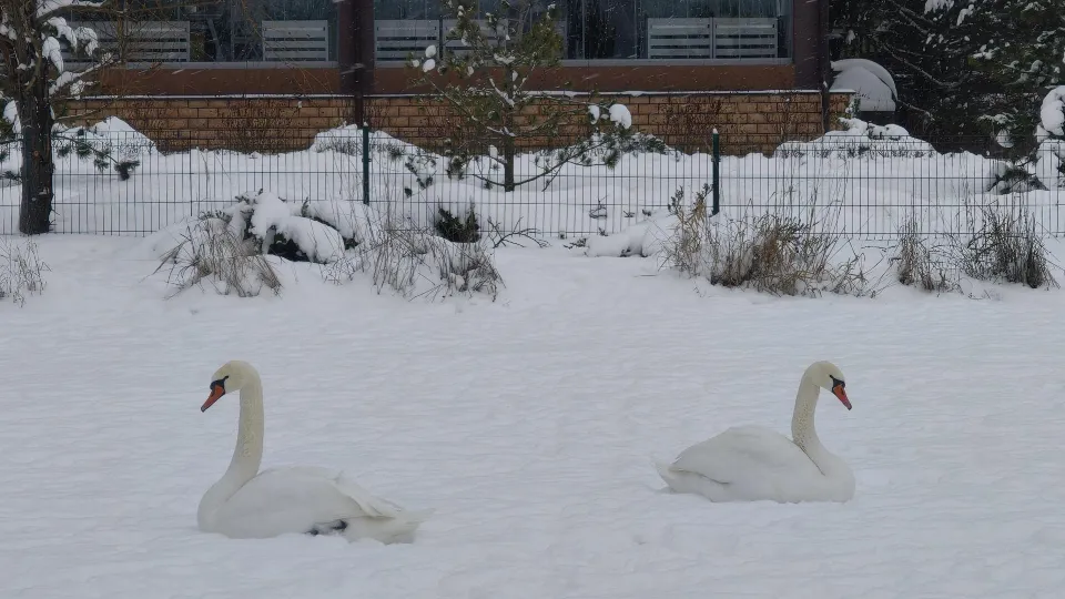 Фото: REGIONS/Сергей Орлов