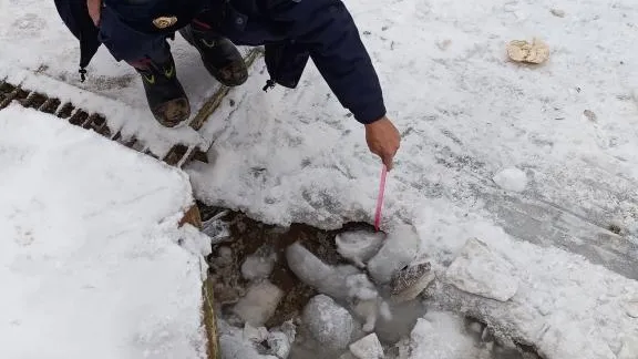 ГКУ МО "Мособлпожспас"