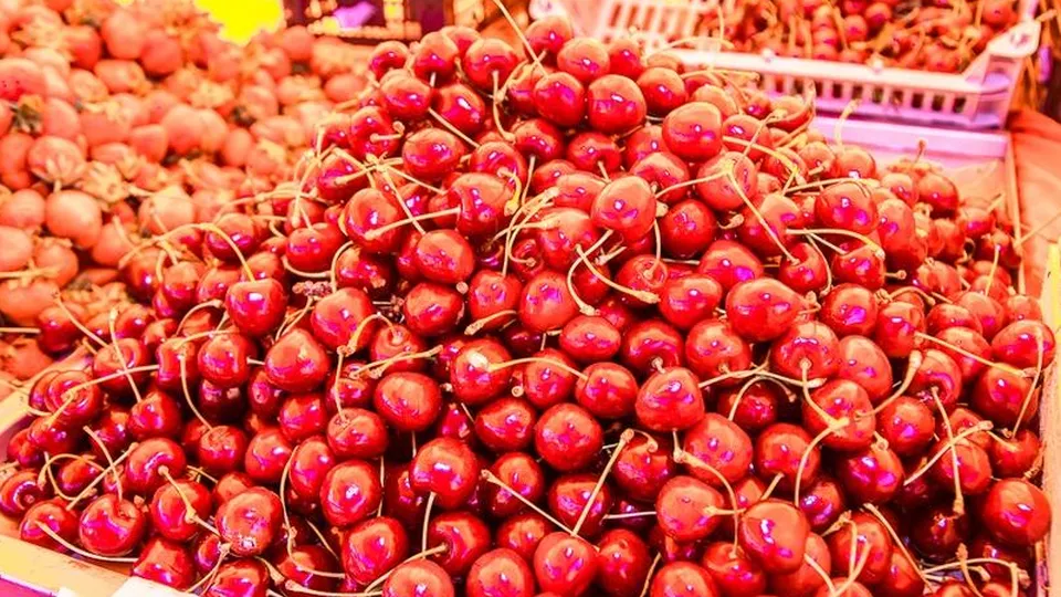 Фото: пресс-служба администрации Одинцовского городского округа