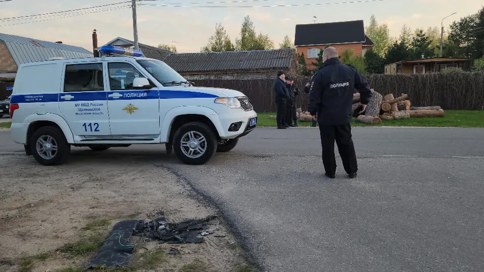 Фото: Валерия Тингаева