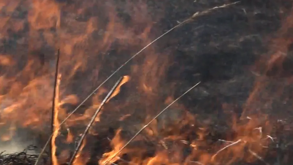 Фото: REGIONS/Наталия Надточая