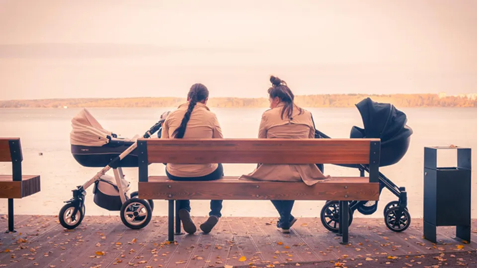 Фото: Министерство благоустройства Московской области