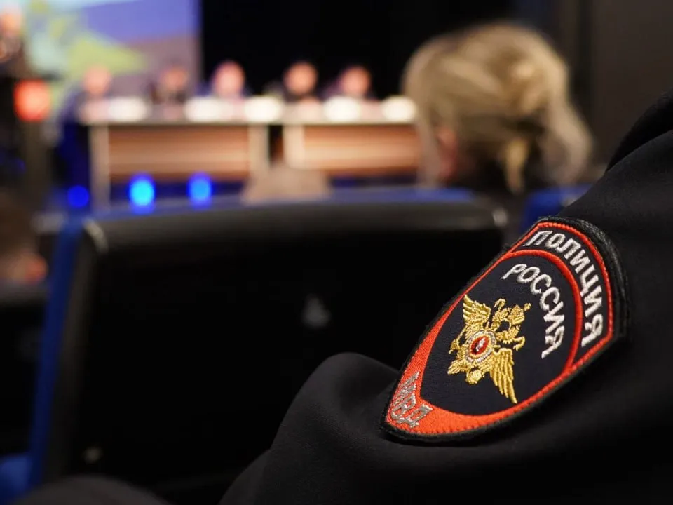 Фото: пресс-служба ОМВД России по Рузскому городскому округу