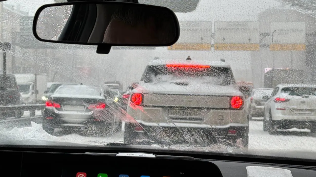 REGIONS/Елена Фурман