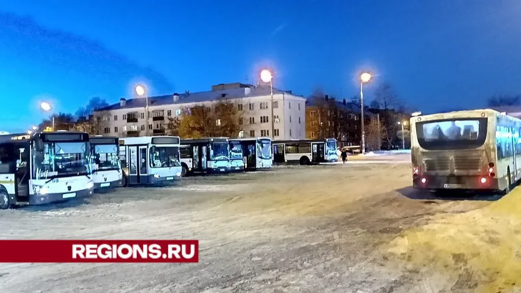 Фото: Елена Григорьева