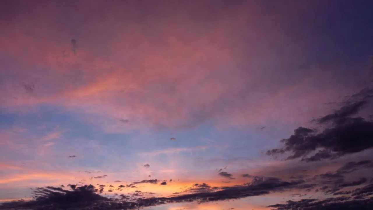 «Оазис света» в Реутове: обычный двор превратился в сказочный парк с ночной иллюминацией