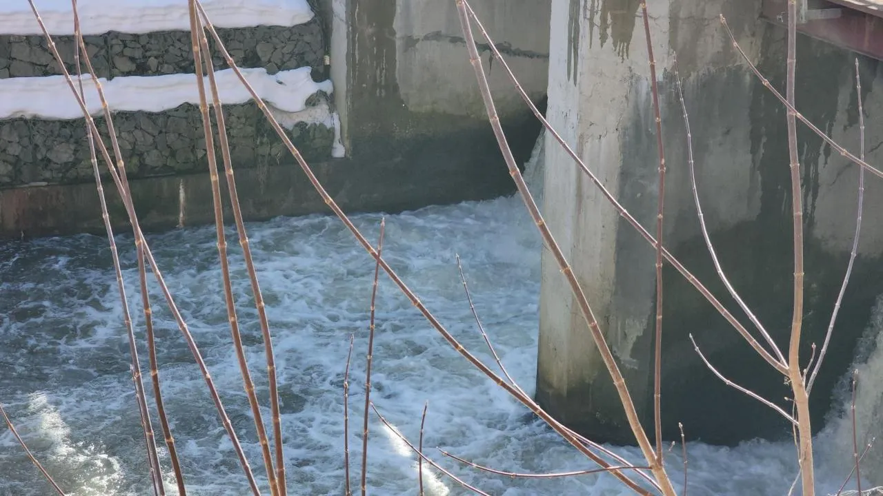 REGIONS/Екатерина Мелкозерова