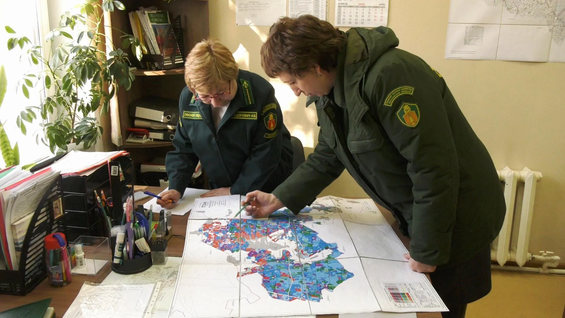 МедиаБанк Подмосковья/Юлия Андросова