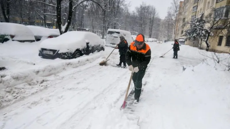 Пестов: снегопад не повлиял на работу систем жизнеобеспечения в Подмосковье