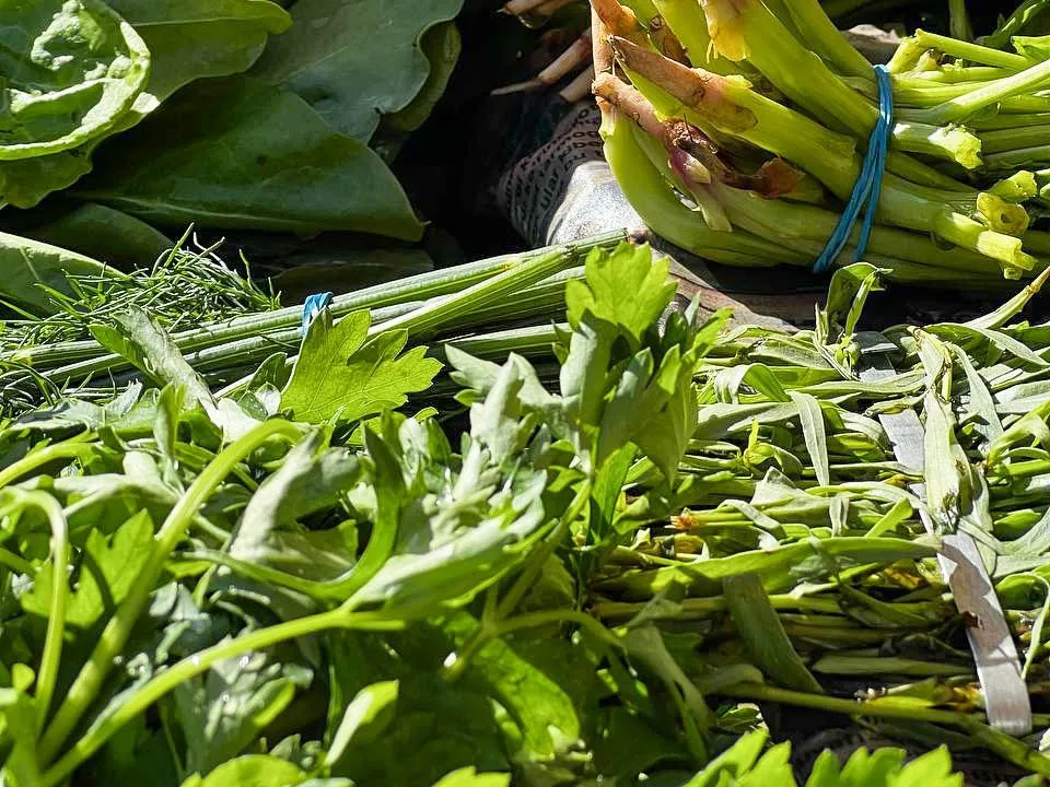 Фото: REGIONS/Максим Цыбуляк