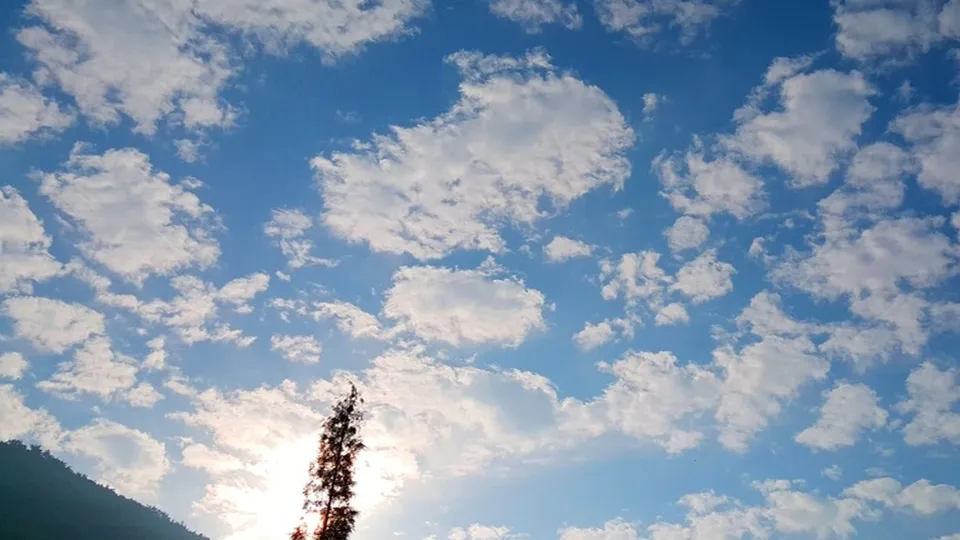 Фото: pxhere.com