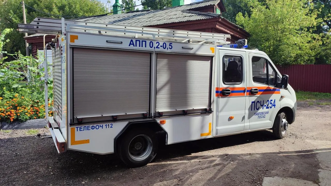 Спасатели в Павловском Посаде помогли жительнице снять с дерева ее кошку