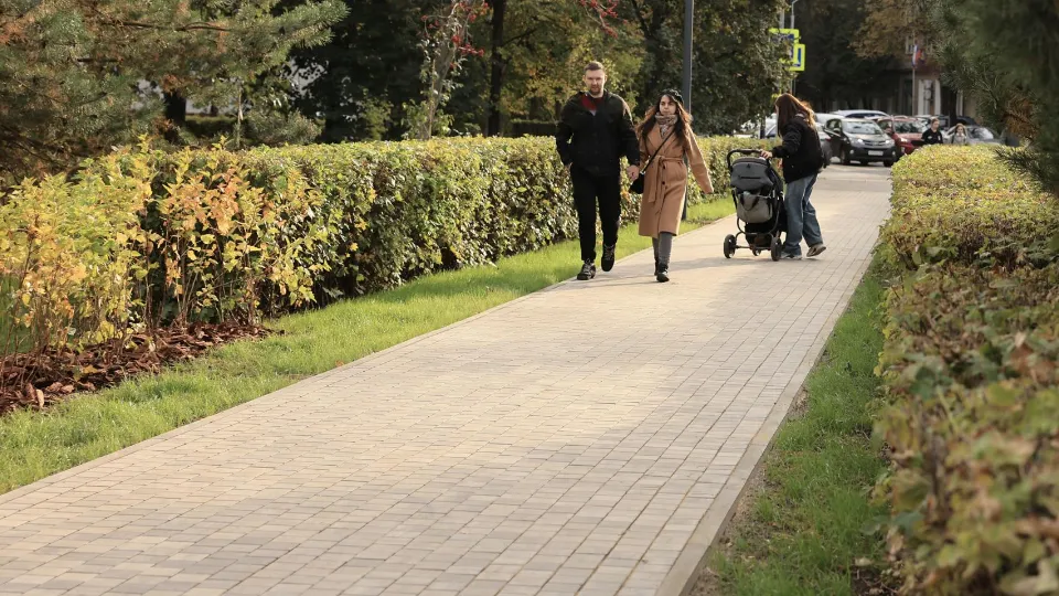 Фото: пресс-служба администрации г.о. Королев