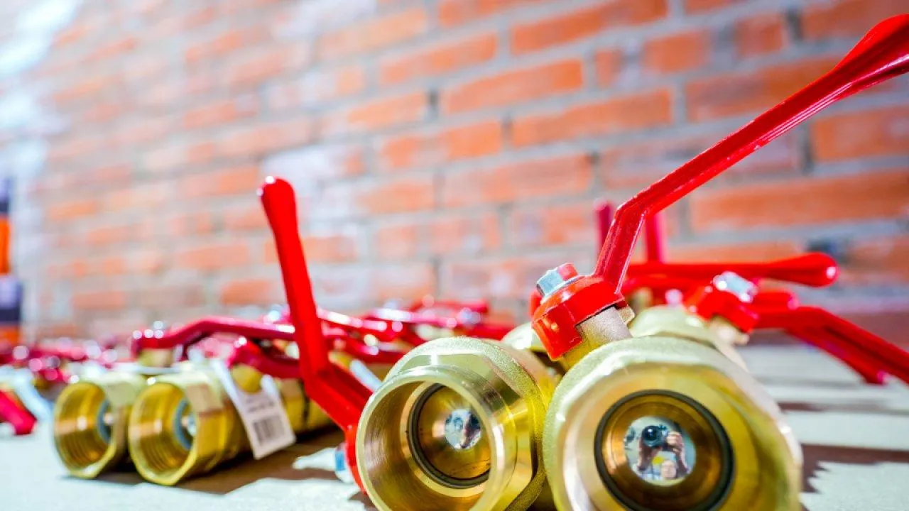 пресс-служба губернатора и правительства Московской области/Александра Степанова