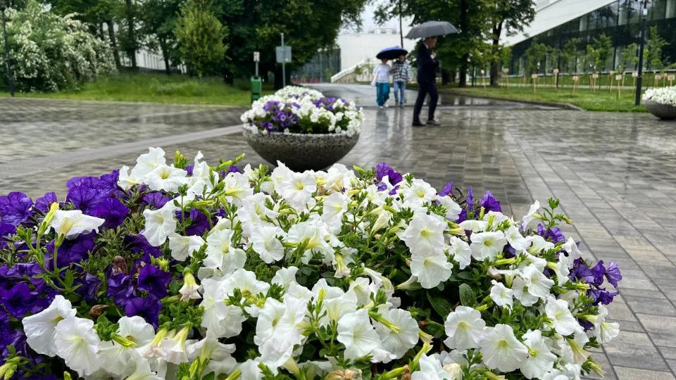 Фото: REGIONS/Елена Фурман