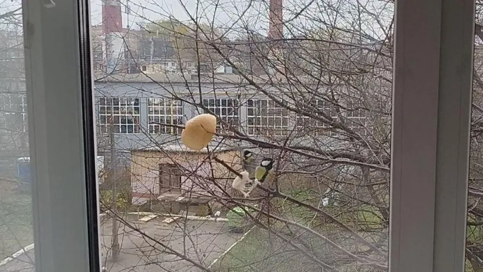 Фото: Можайская больница