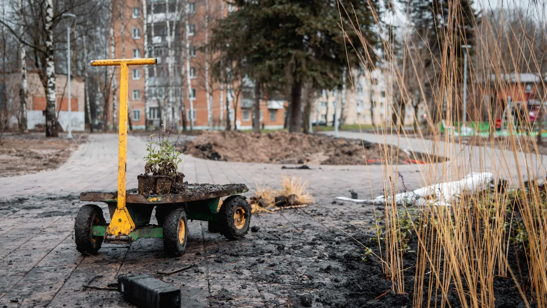 администрация г.о. Клин