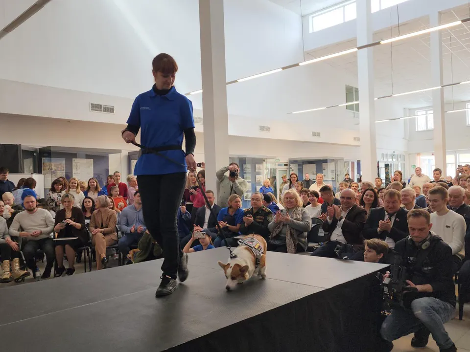 Фото: Валерия Тингаева