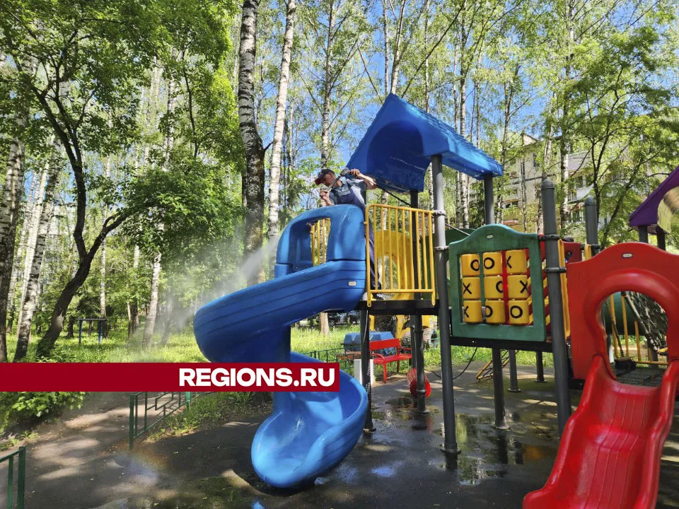 Фото: Евгения Герасимова