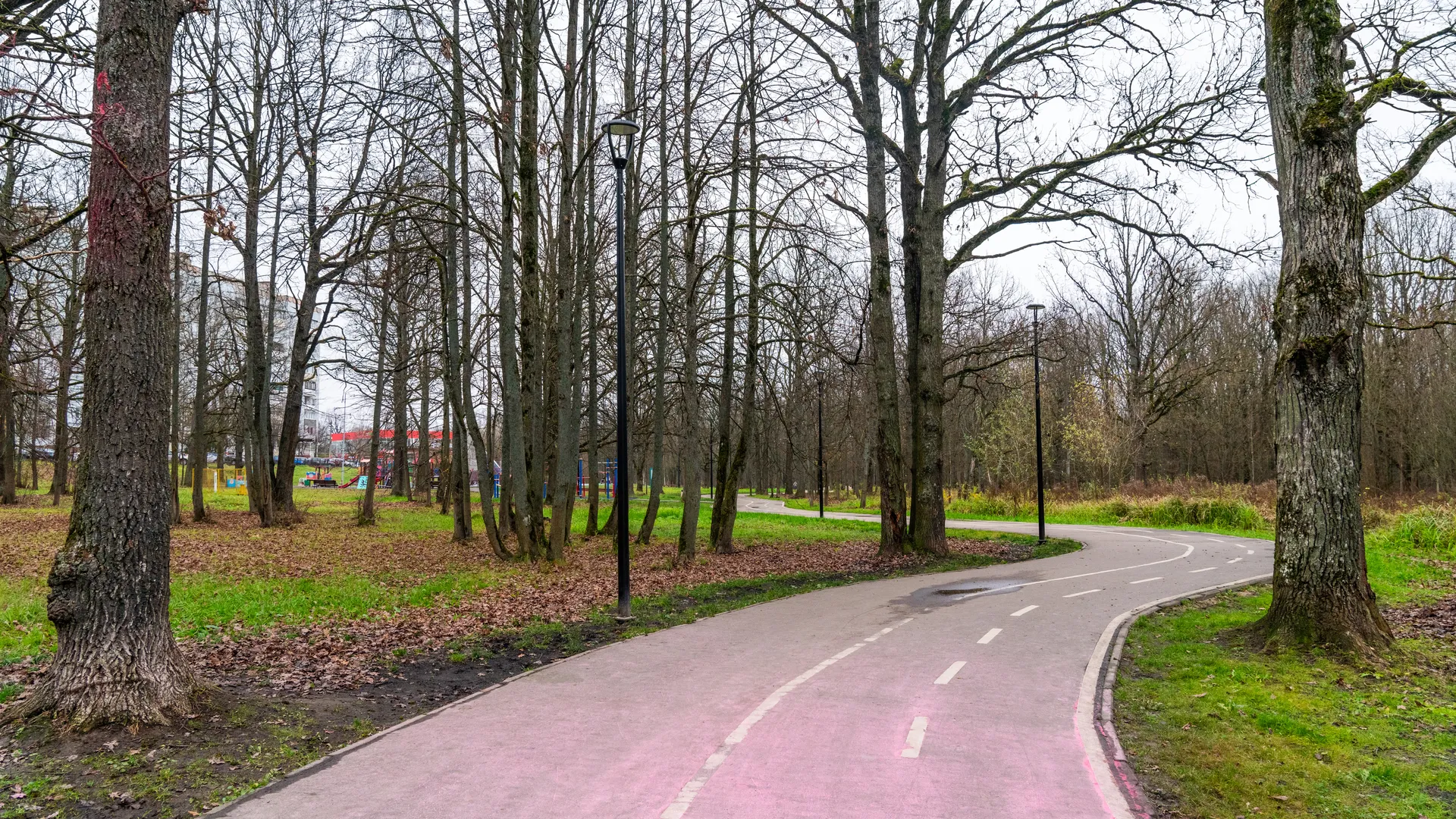 Наро-Фоминский лесопарк «Дубки»