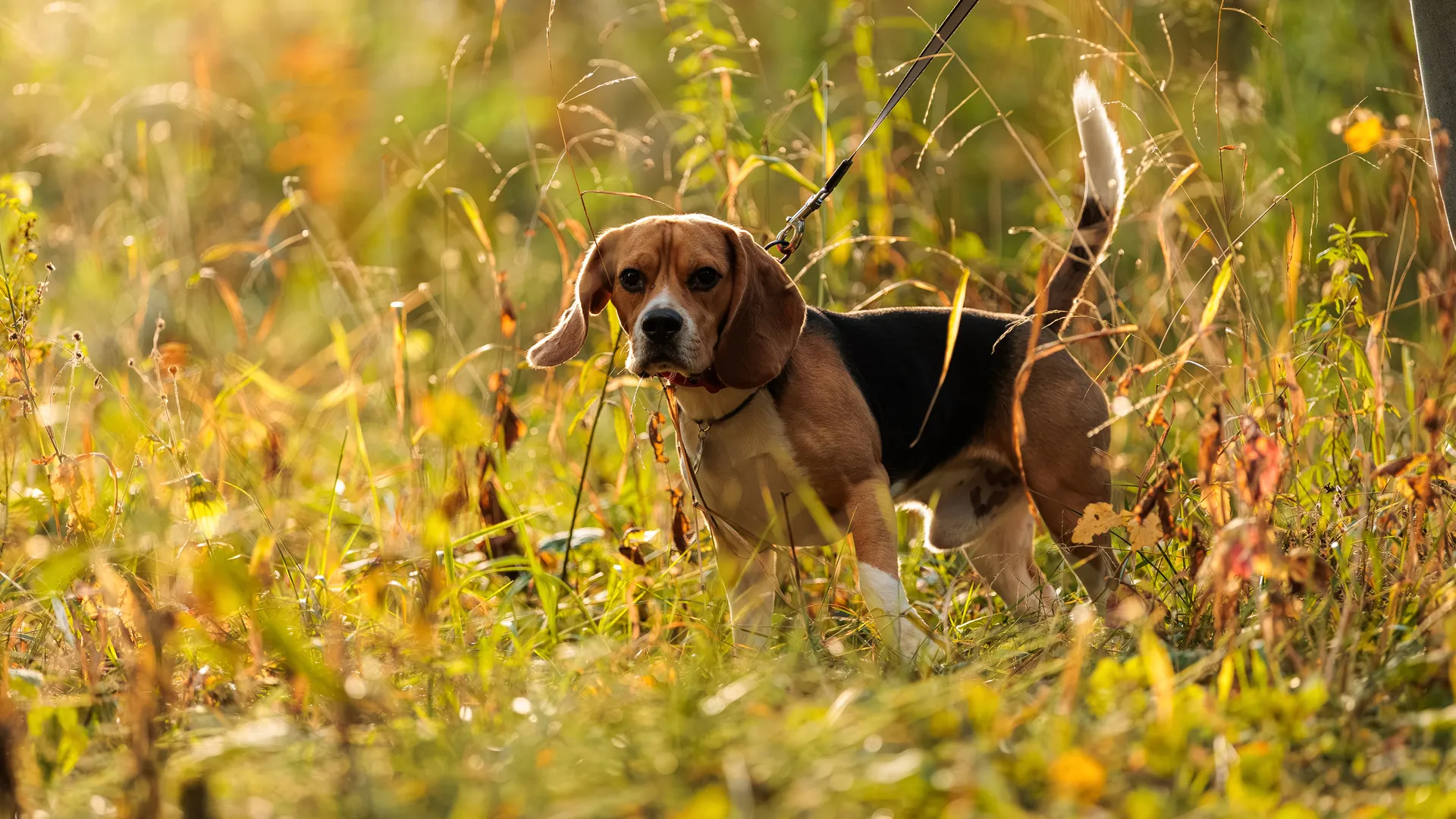 медиасток.рф