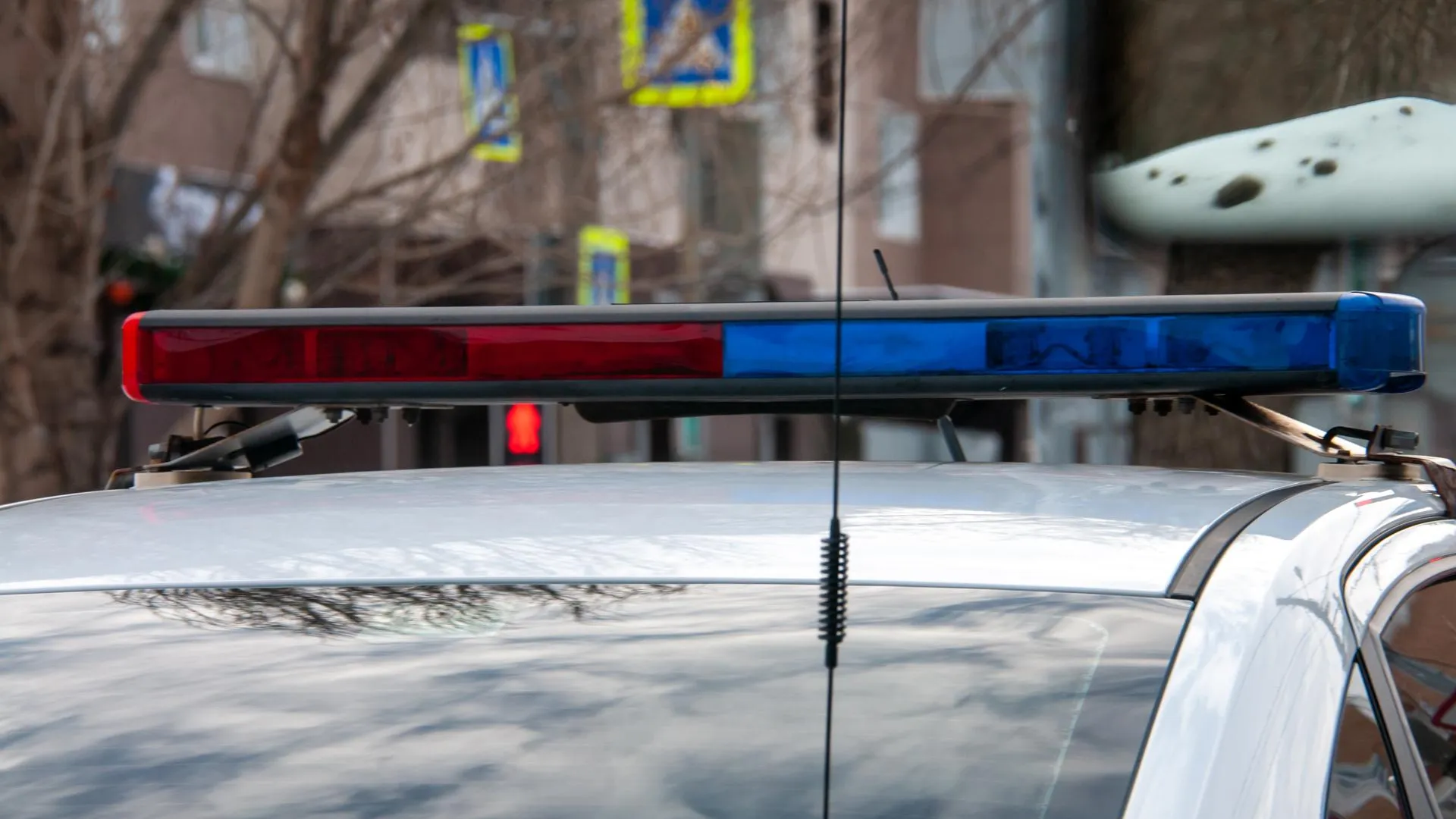 Svetlana Vozmilova/Global Look Press