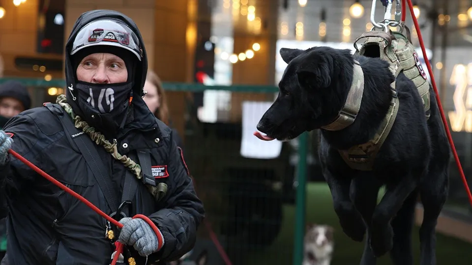 Фото: Кинологическая служба ЦСП Академия К9