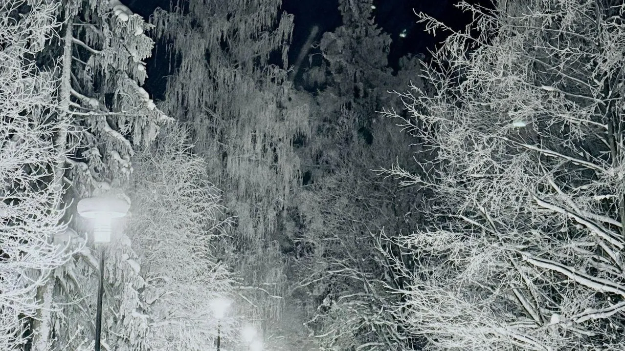 Марина Алифанова