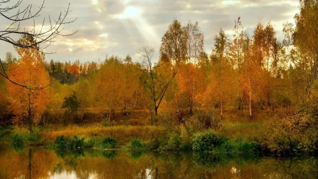 Фото foto-onlain.ru