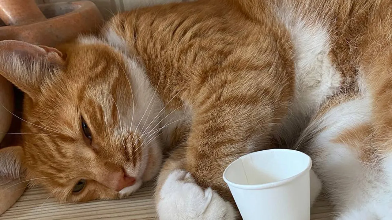 Фото: личный архив Галины Спиридоновой