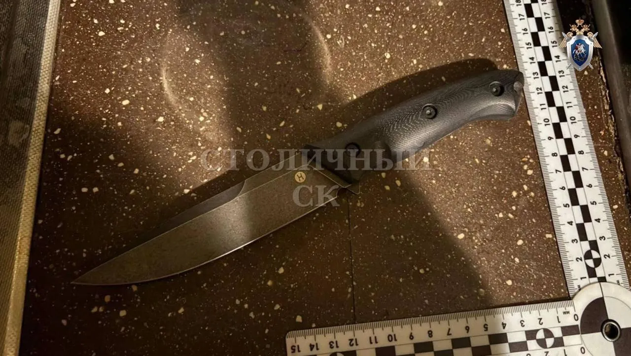 ГСУ СК Москвы