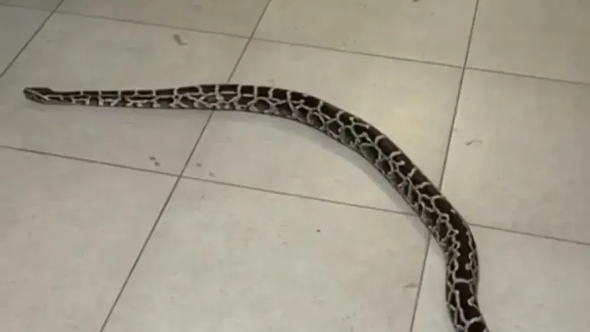 Фото: социальные сети