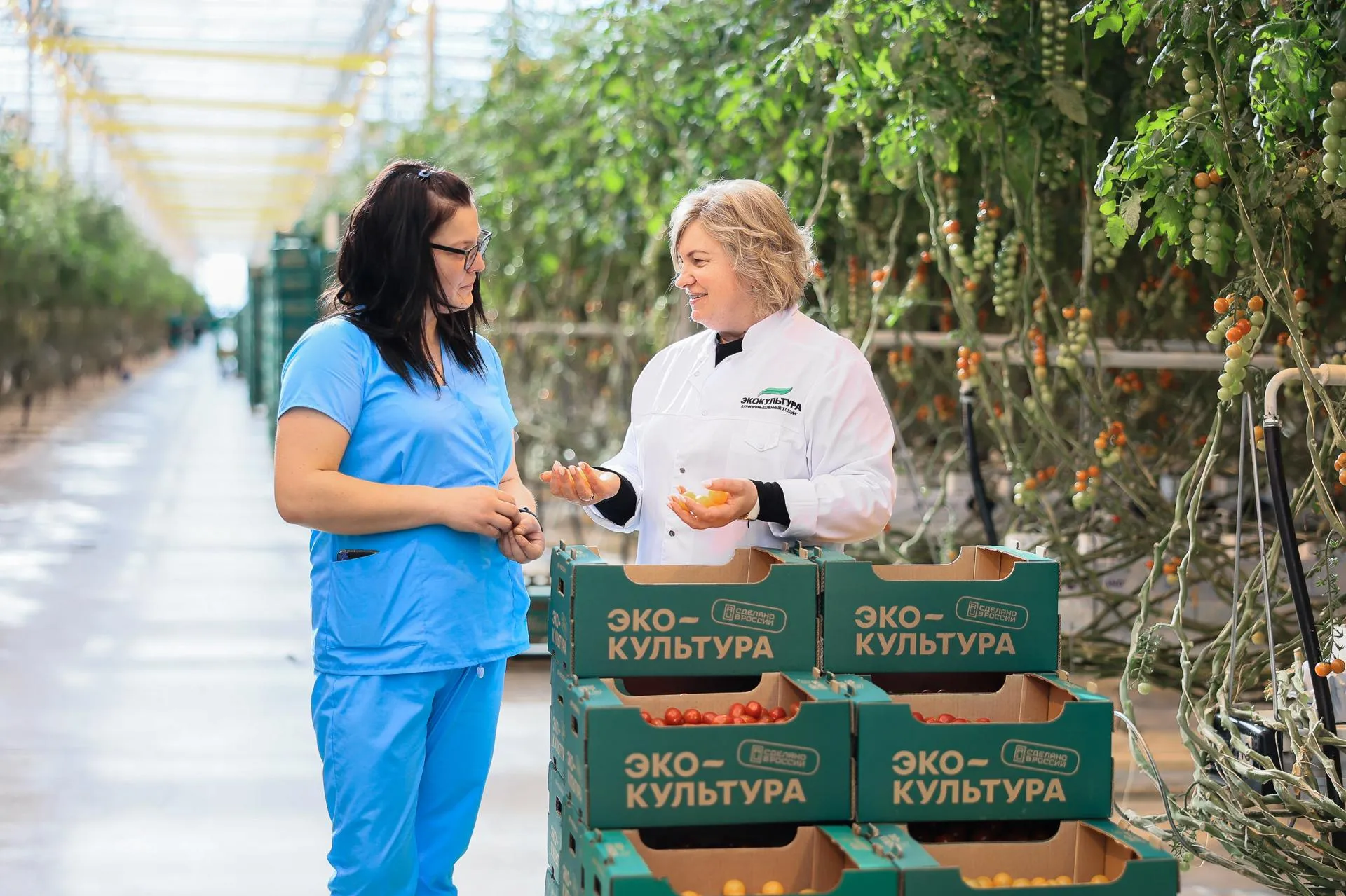 пресс-служба губернатора и правительства Московской области