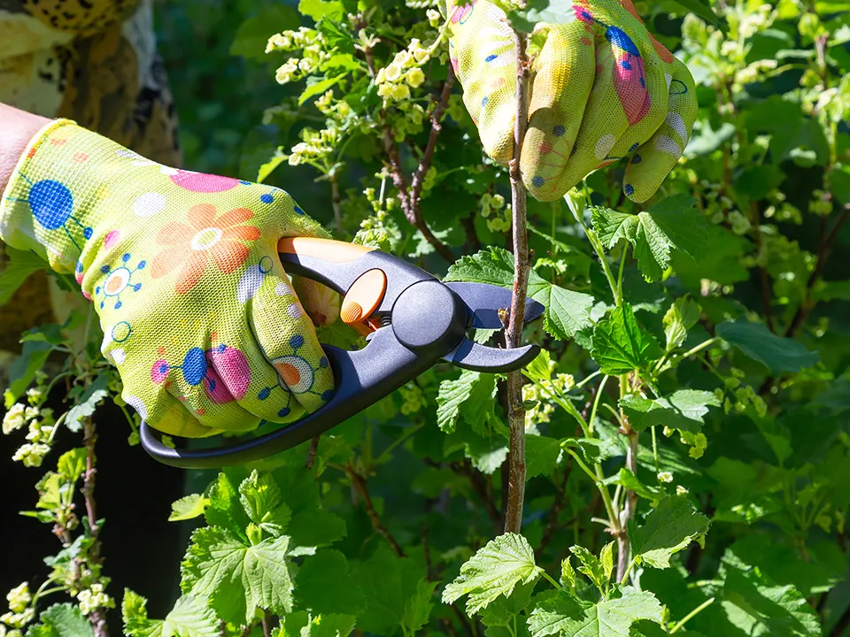 Фото: istockphoto.com/Zabavna