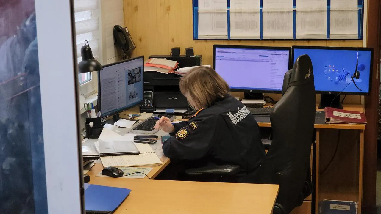 МедиаБанк Подмосковья/Екатерина Данилина