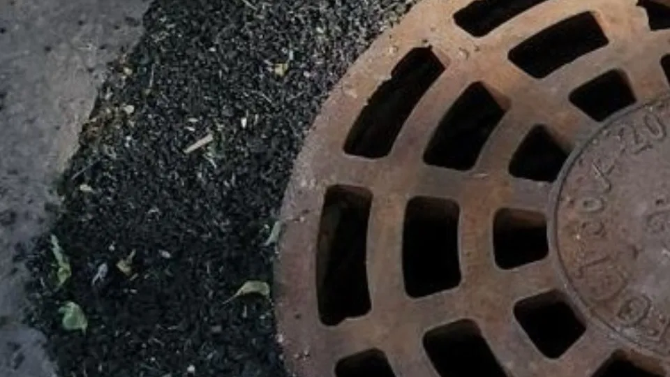 Фото: МедиаБанк Подмосковья/Юлия Смагринская