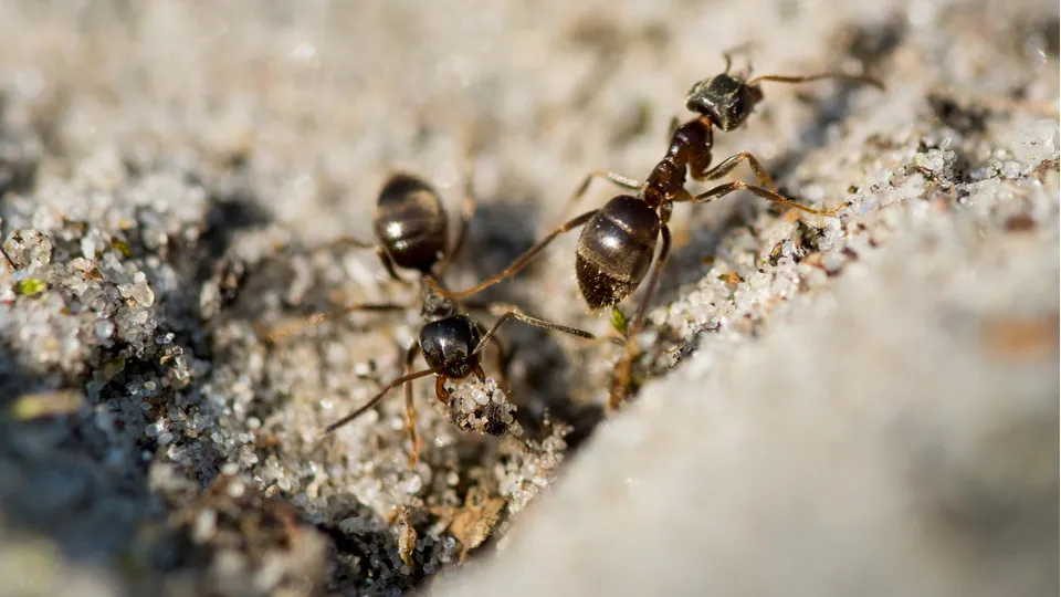 Фото: freepik.com