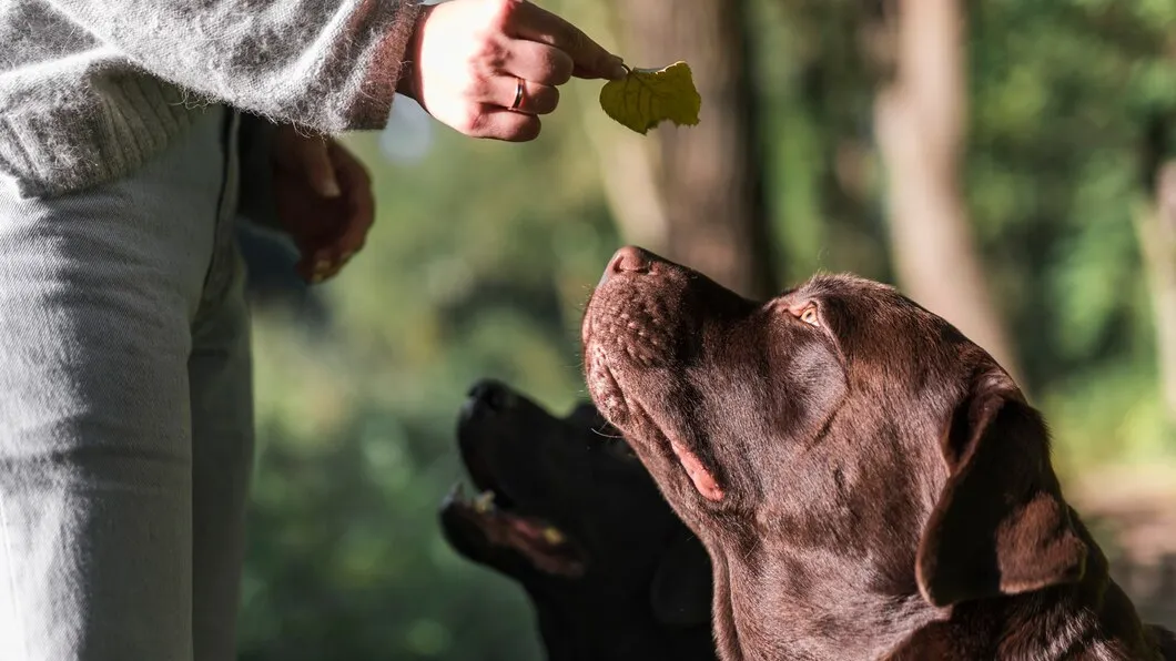 Фото: freepik.com