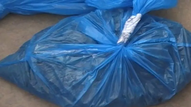 ГУ МВД по МО