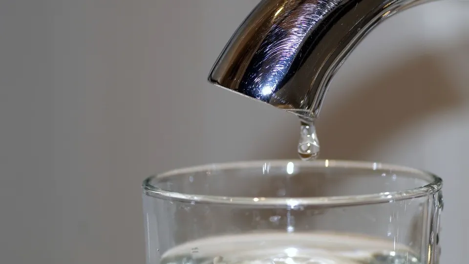 Фото: pxhere.com