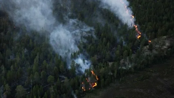 Количество природных пожаров в Подмосковье сократилось вдвое в 2018 году