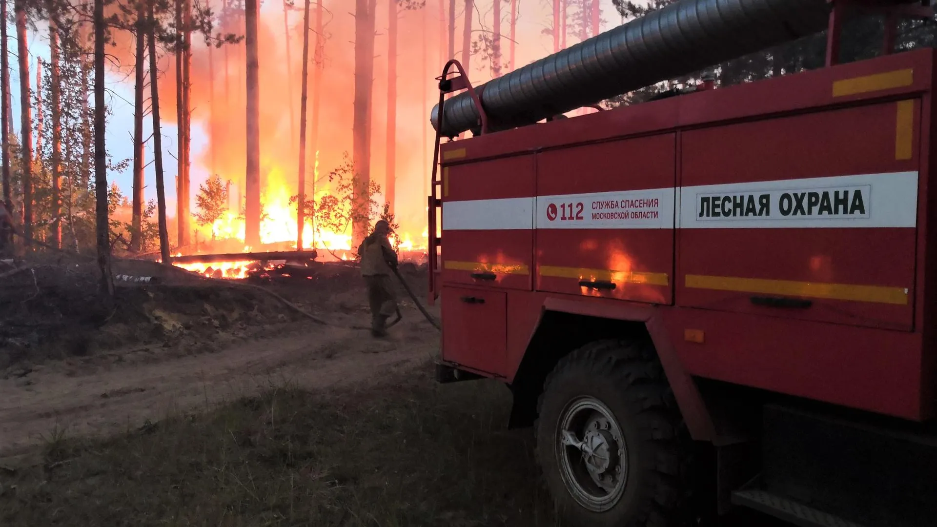 Комитет лесного хозяйства МО