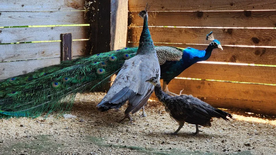 Фото: Екатерина Данилина