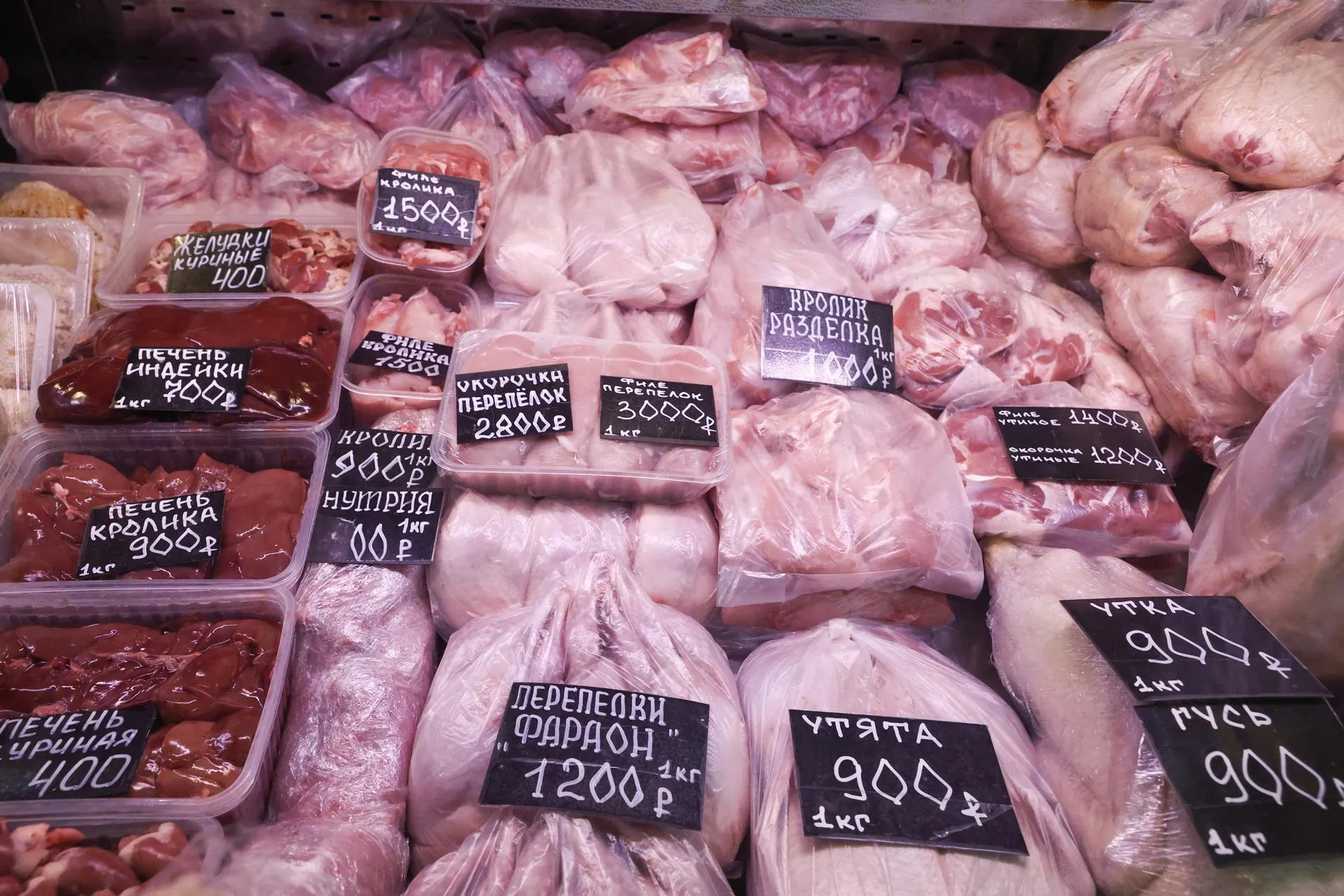 Shatokhina Natalia/news.ru