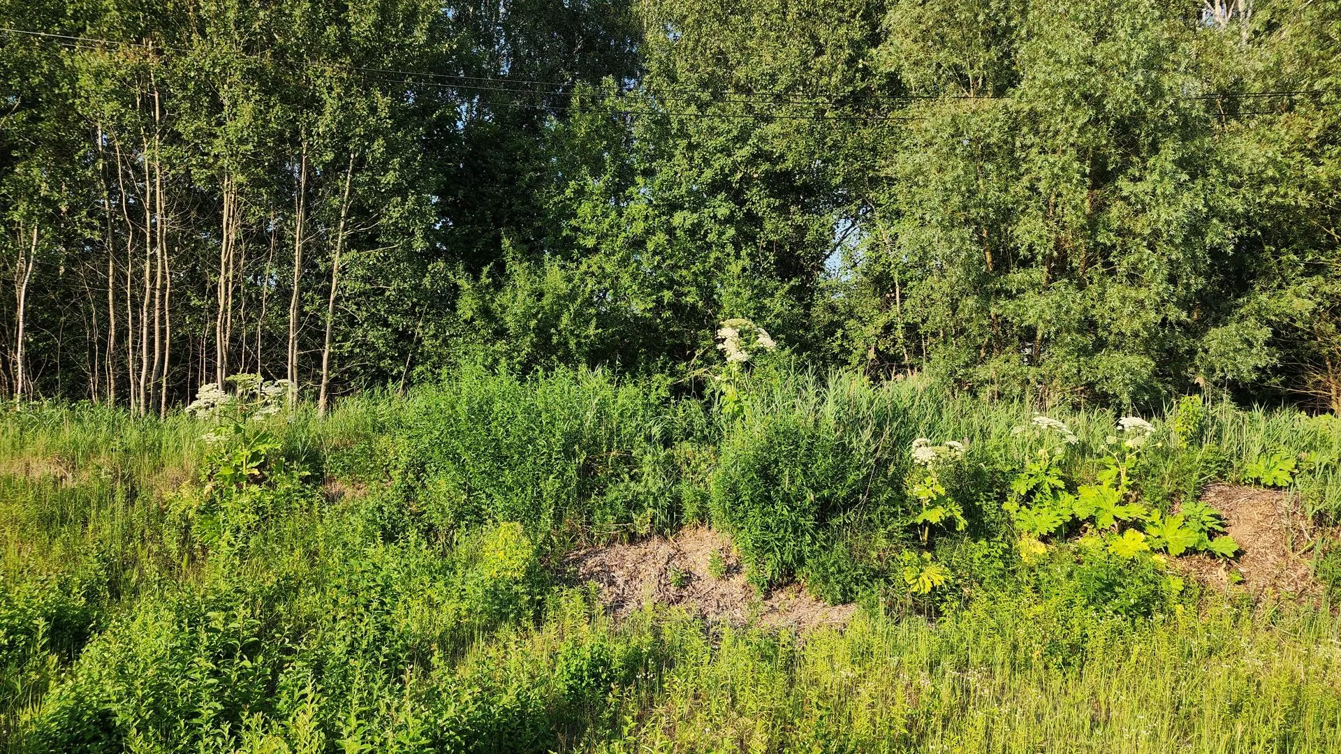 Фото: Ксения Пашуто