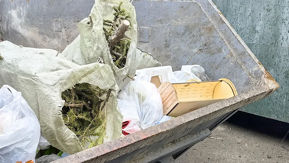 Фото: МедиаБанк Подмосковья/Елена Катасонова