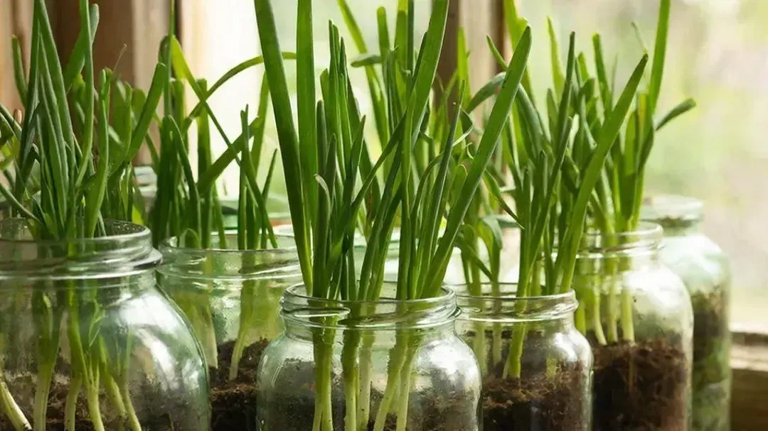 REGIONS/Сгенерировано нейросетью